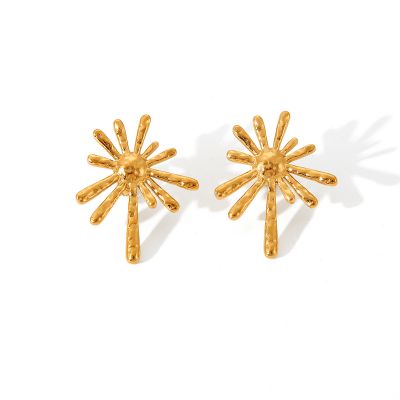 Exaggerated Gold-plated Stainless Steel Earrings 